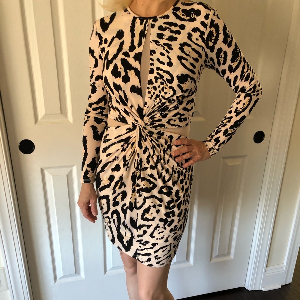 Leopard print dress